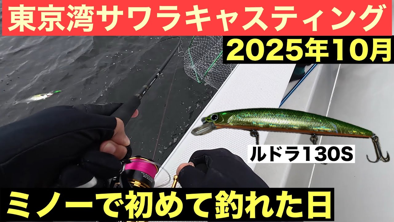【歓喜】東京湾サワラ ミノーでついに...！