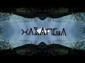 Psytrance mix by xabanga  digital shamans records podcast dj mix