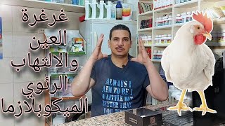 كيف تتخلص من الخرخره ودمعة العين الميكوبلازما