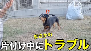 GW初日、愛犬と芝刈りを楽しんだ後まさかのトラブル発生w