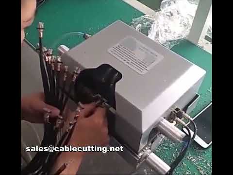 Specialized Multi-Core Wire Double Parallel Stripping Machine WPM-012