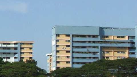 Multiplex TwinStar II