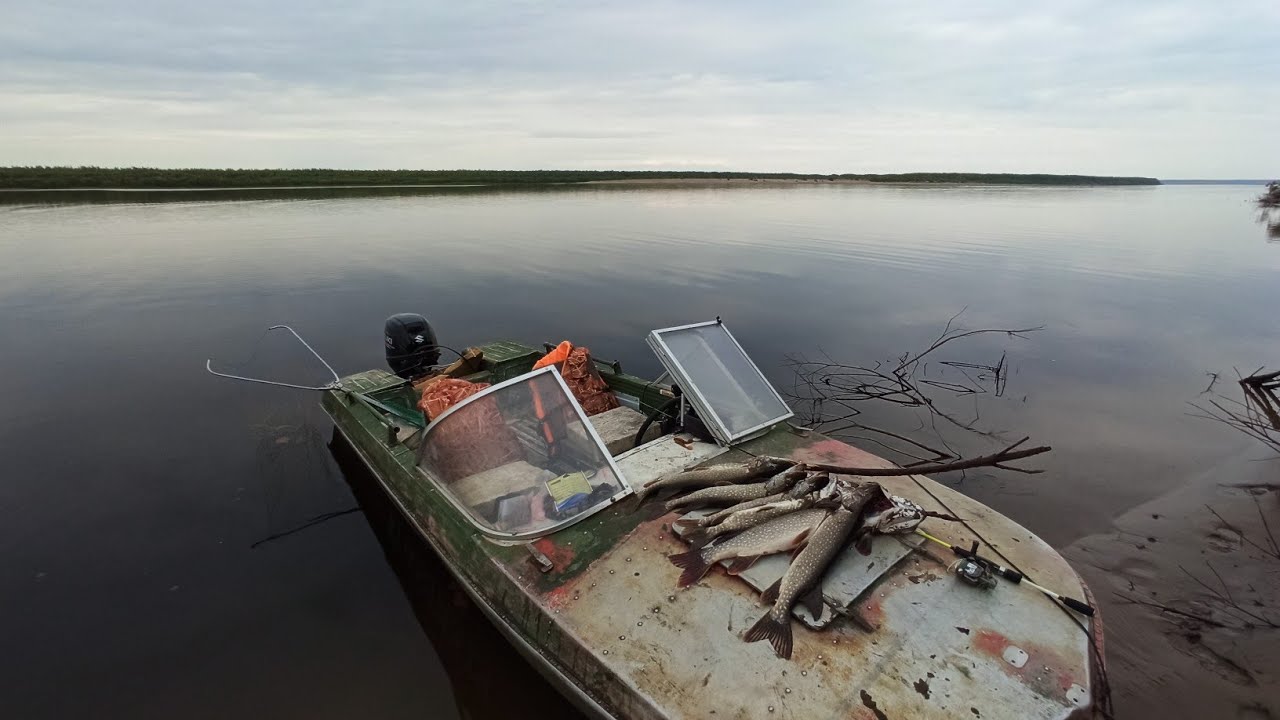 Рыбалка! Хищники на Енисее. Часть вторая. Fishing! Predators on the Yenisei. Part two.