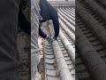Mastering Ancient Roofing Techniques