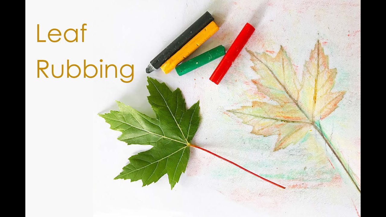 Leaf Rubbing YouTube
