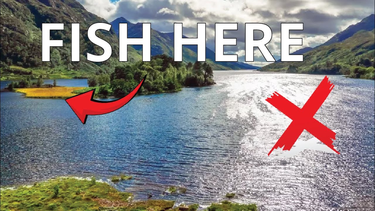 Как найти форель в озерах [Это работает везде!]