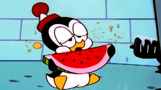 Chilly Willy En Español Perro Frio - Capitulos Completosdibujos Animados