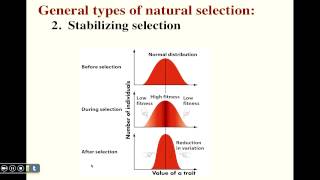 23-Evolutionary Processes