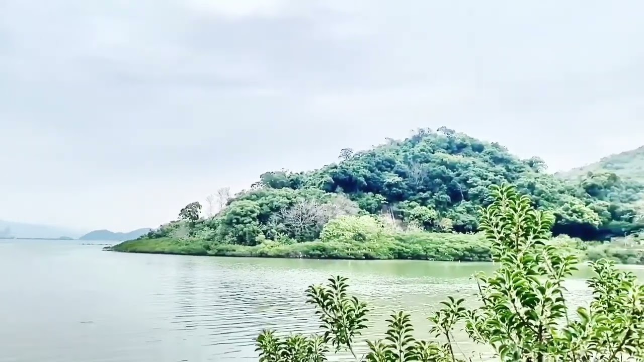 In the Clouds by Anne Crosby Gaudet (Harp performed by Vien WL Chan))