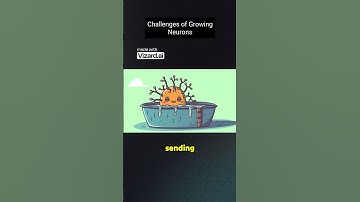 Growing neurons to play DOOM pt.0