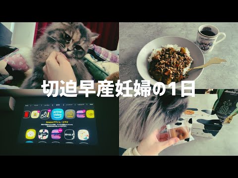切迫早産妊婦の一日【妊娠7ヶ月妊婦】