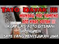 Kompilasi Tato Dayak, Mandau, Sape, Tameng, dan ACC Khas Dayak Kalimantan !!!