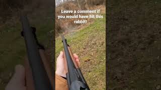 Rabbit Hunting With Beagles