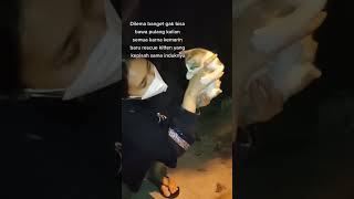 Stop Buang Kucing Dipasardimanapun, Kalo Sudah Tidak Sanggup Mengurus Lebih Baik Carikan Adopter