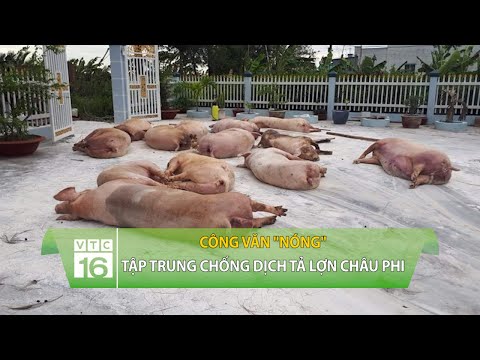 Công văn