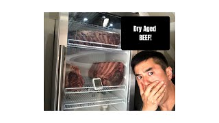 Homemade Dry Aged Beef Locker DIY!