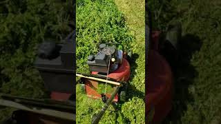 Toro 21 mower rear discharge