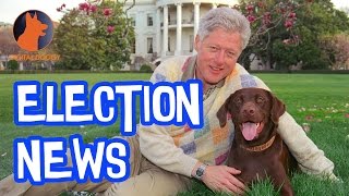Election News; Presidential Pooches! by Digital Doggy 92 views 7 years ago 2 minutes, 17 seconds