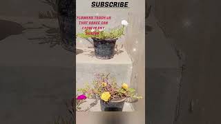 In Every Petal Lies A Secret Of Natures Poetry. Se Aage