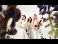 Анна Ромашкова - «Серость. Магнетизм. Цветение»