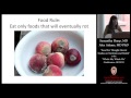 Food for Thought: Recent Studies on Nutrition and Health