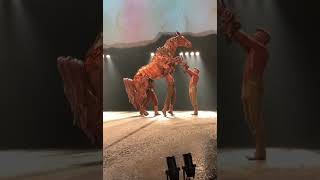 Warhorse - Joey Final Bow