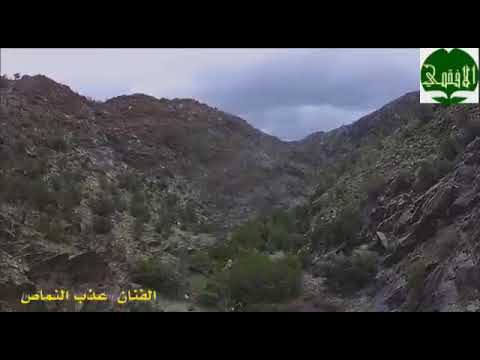 تقل امصبية تعال ابها