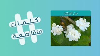 كلمات متقاطعة لغز رقم 60 المجموعة 7