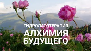 Знаете Про Алхимию Гидролатов?