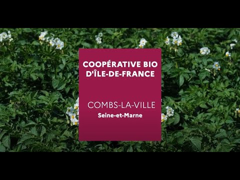Soutien des filières agricoles pour le développement des surfaces en bio