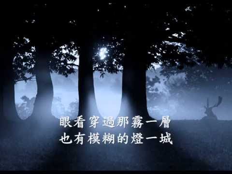 劉文正-夜歸人