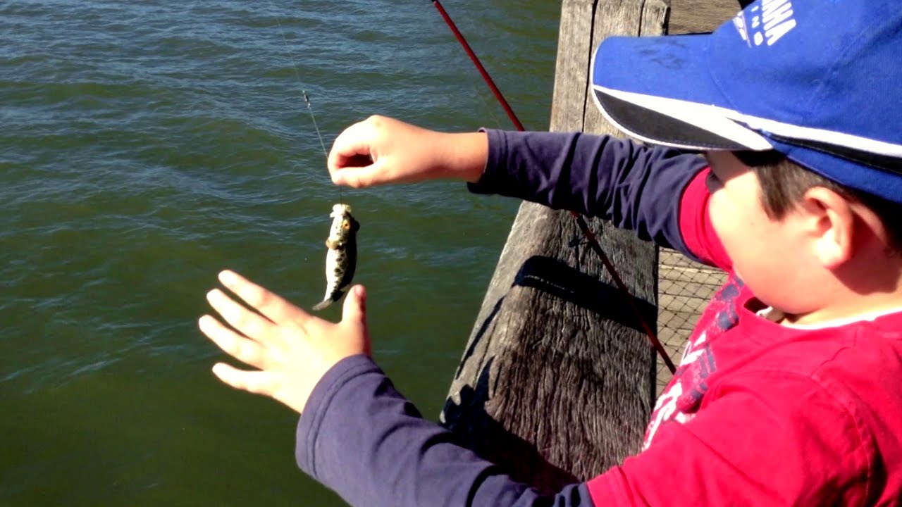 SOUTH PINE RIVER | FISHING BENNY