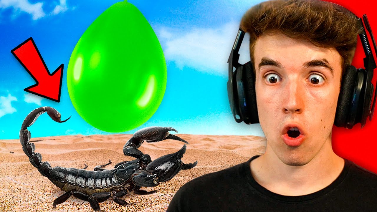 GLOBO vs ESCORPION | Cosas Que NO SABIAS Hace 5 Minutos