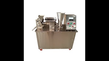 Video of  Automatic Dumpling Making Machine