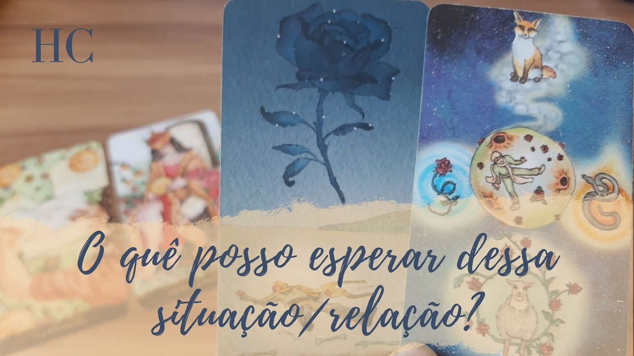 O quê posso esperar dessa situação/relação? - Henrique Cecatto Tarot