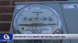 Don't want to switch to a smart meter? It will cost you.