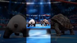 Crazy Panda Fighting