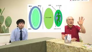 第26回  シュタイナー農法⑤ 「植物の霊体の構造」 ー  植物の魂や霊体はどこにあるか【KOZOの超植物チャンネル】