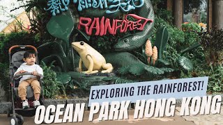 Explored Ocean Park Hong Kong&#39;s Rainforest