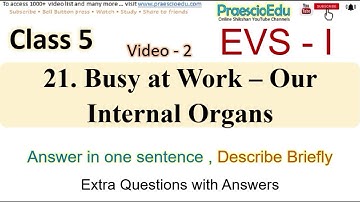 Class 5 EVS-1 Busy at Work - Our Internal Organs video-2 State Board Std 5th PraescioEdu