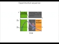 view Zoran Hadzibabic, &quot;Equilibrium and non-equilibrium condensation of interacting bosons&quot; digital asset number 1