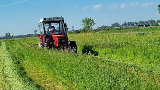 Zetor 7245 & roto kosa 165cm