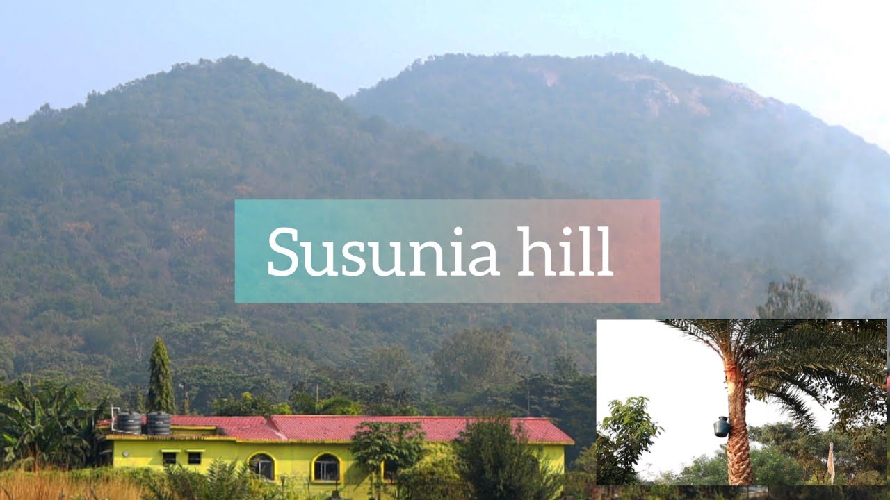 Susunia hill | Park | Date palm tree 