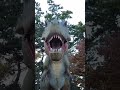 Injured T-rex needs to floss to get rid of pinecones in his mouth. Songdo park in #busan