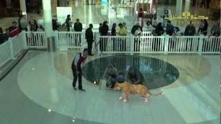 National Geographic Augmented Reality At Seef Mall National Geographic Augmented Reality At Seef Mall