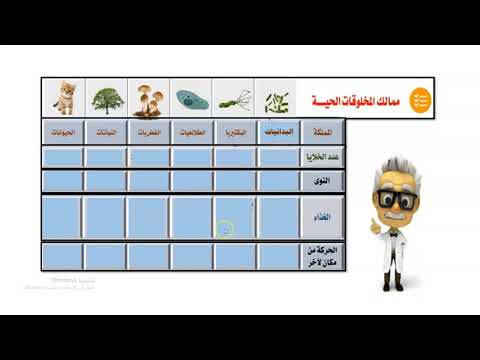 المملك الست للمخلوقات الحية رابع
