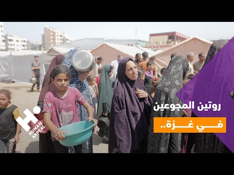 100 دولار تتحول ل 10 موائد