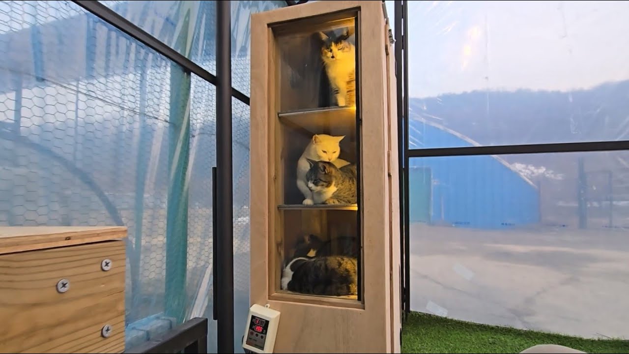 냥파트