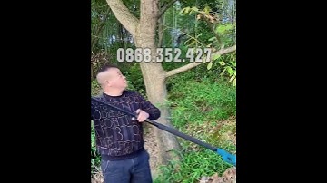 Máy cưa xích pin cầm tay, cưa gỗ hay cắt cành cây cao tới 3m dễ dàng