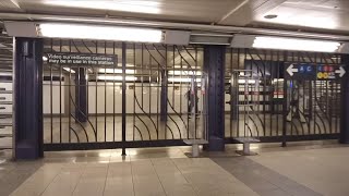 Sword-Wielding Attacker Terrifies Riders About NYC Subway | El Minuto (English)